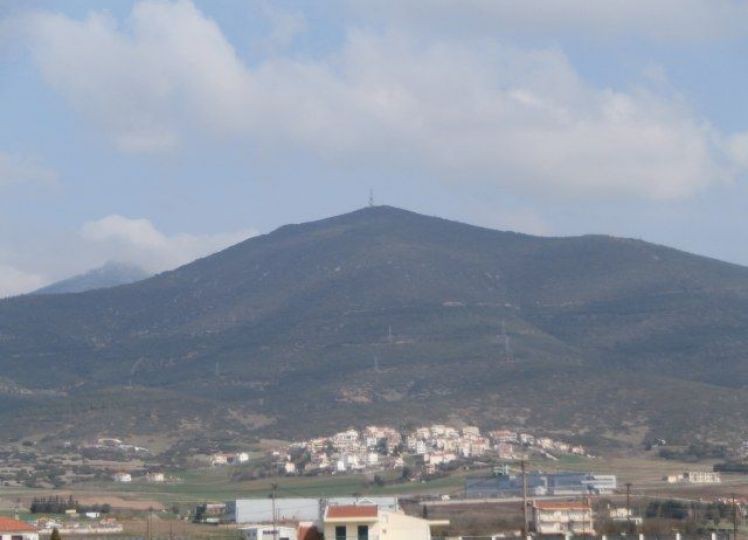 Αγροτεμάχια 4.513 τ.μ. προς πώληση, Νέα Ραιδεστός