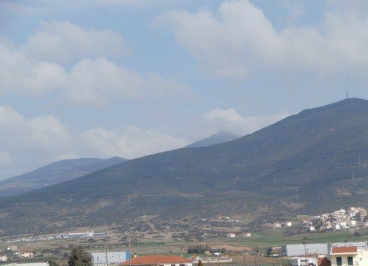 Αγροτεμάχια 4.513 τ.μ. προς πώληση, Νέα Ραιδεστός