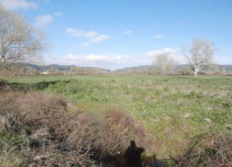 Αγροτεμάχια 9.500 τ.μ. πρός πώληση, Χαλκιδική, Κασσάνδρα