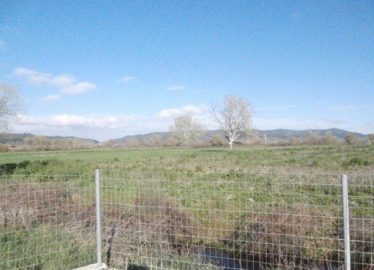 Αγροτεμάχια 9.500 τ.μ. πρός πώληση, Χαλκιδική, Κασσάνδρα