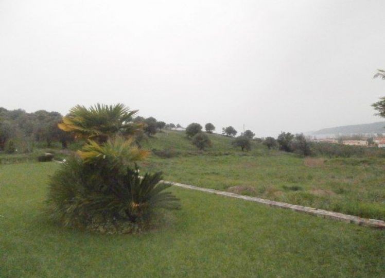 Αγροτεμάχια 6.250 τ.μ. πρός πώληση, Χαλκιδική, Κασσάνδρα