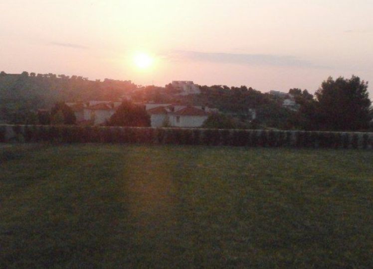 Αγροτεμάχια 6.250 τ.μ. πρός πώληση, Χαλκιδική, Κασσάνδρα
