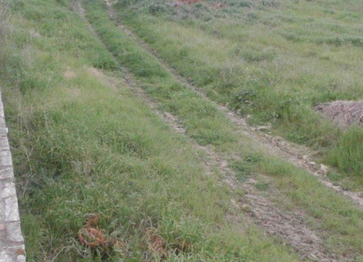 Αγροτεμάχια 6.250 τ.μ. πρός πώληση, Χαλκιδική, Κασσάνδρα
