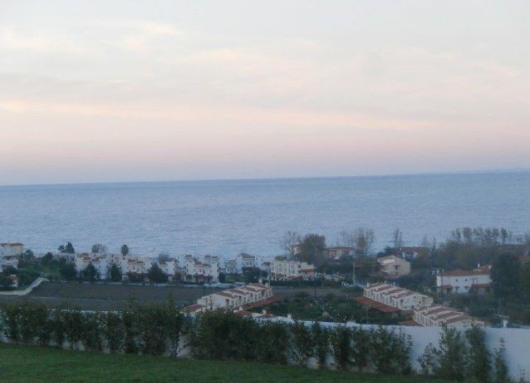 Αγροτεμάχια 6.250 τ.μ. πρός πώληση, Χαλκιδική, Κασσάνδρα
