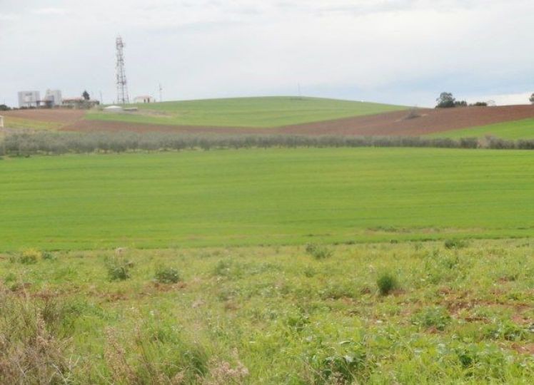 Αγροτεμάχια 35.000 τ.μ. προς πώληση, Νέα Ποτίδαια
