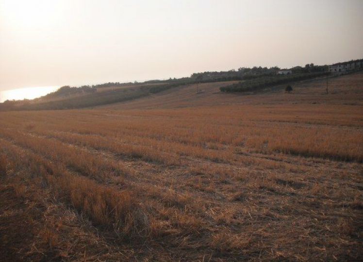 Αγροτεμάχια 35.000 τ.μ. προς πώληση, Νέα Ποτίδαια