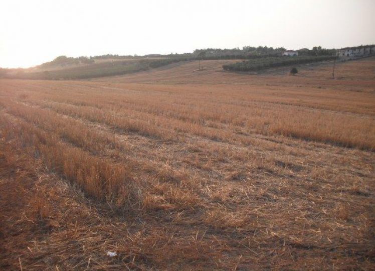 Αγροτεμάχια 35.000 τ.μ. προς πώληση, Νέα Ποτίδαια