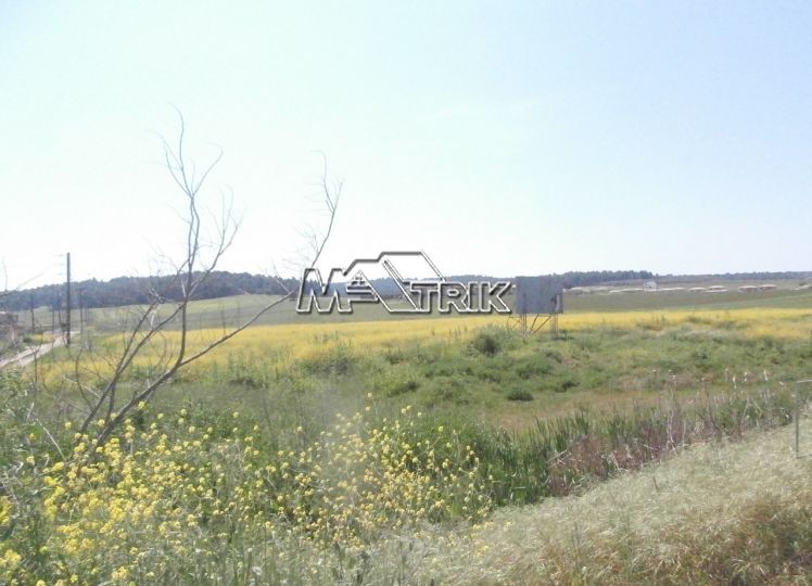 Αγροτεμάχια 4.350 τ.μ. πρός πώληση, Χαλκιδική, Κασσάνδρα