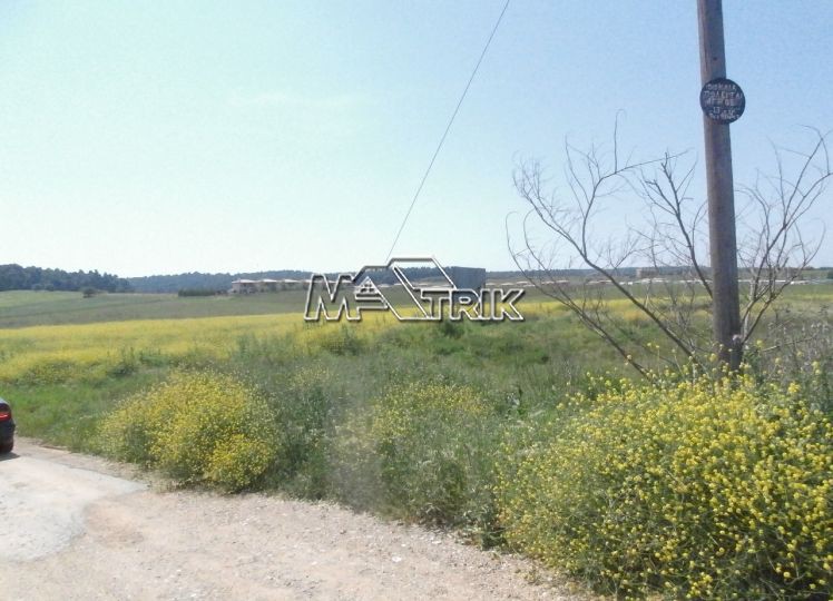 Αγροτεμάχια 4.350 τ.μ. πρός πώληση, Χαλκιδική, Κασσάνδρα