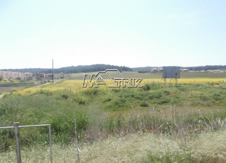 Αγροτεμάχια 4.350 τ.μ. πρός πώληση, Χαλκιδική, Κασσάνδρα