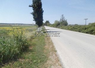 Αγροτεμάχια 4.350 τ.μ. για πώληση