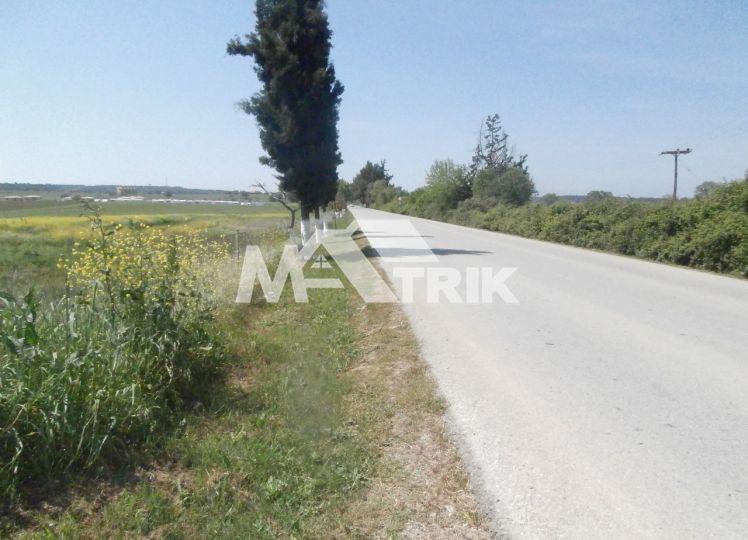 Αγροτεμάχια 13.000 τ.μ. πρός πώληση, Χαλκιδική, Κασσάνδρα
