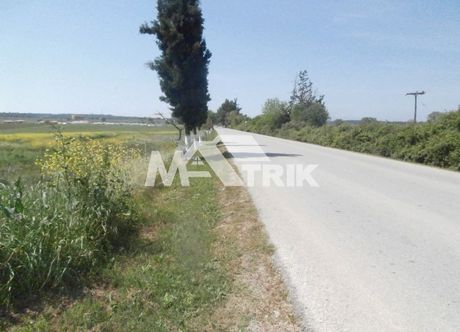 Parcel 13.000sqm for sale-Kassandra » Sani