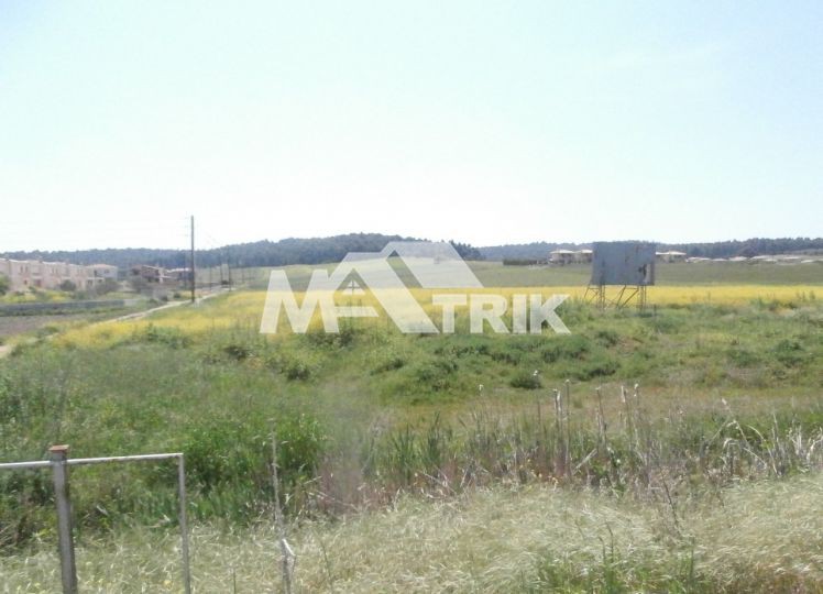 Αγροτεμάχια 13.000 τ.μ. πρός πώληση, Χαλκιδική, Κασσάνδρα