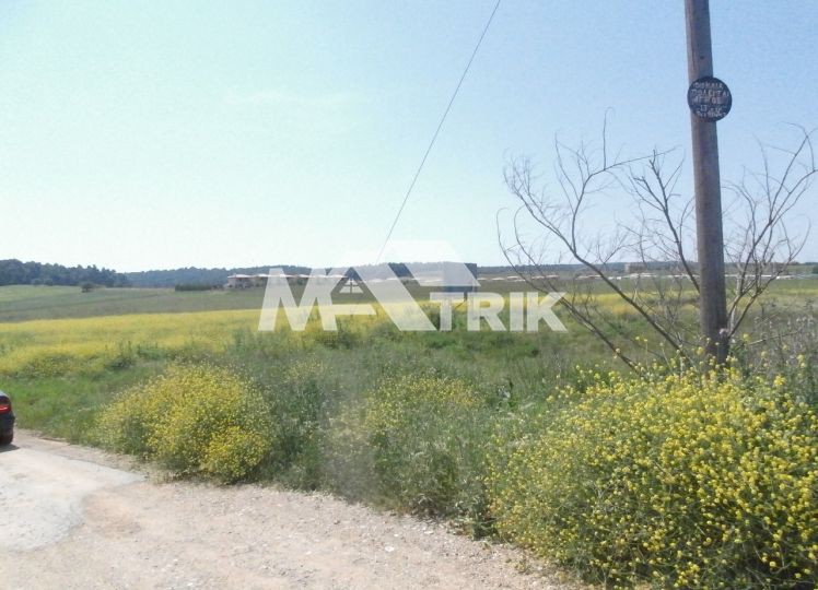 Αγροτεμάχια 13.000 τ.μ. πρός πώληση, Χαλκιδική, Κασσάνδρα