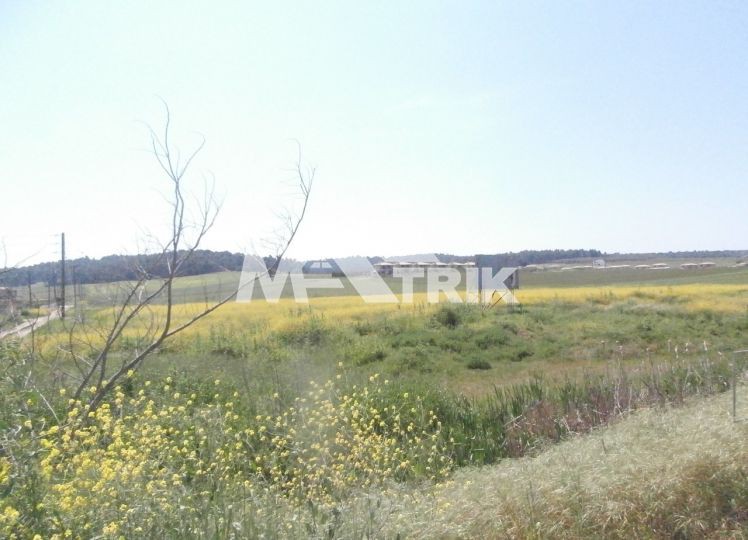 Αγροτεμάχια 13.000 τ.μ. πρός πώληση, Χαλκιδική, Κασσάνδρα