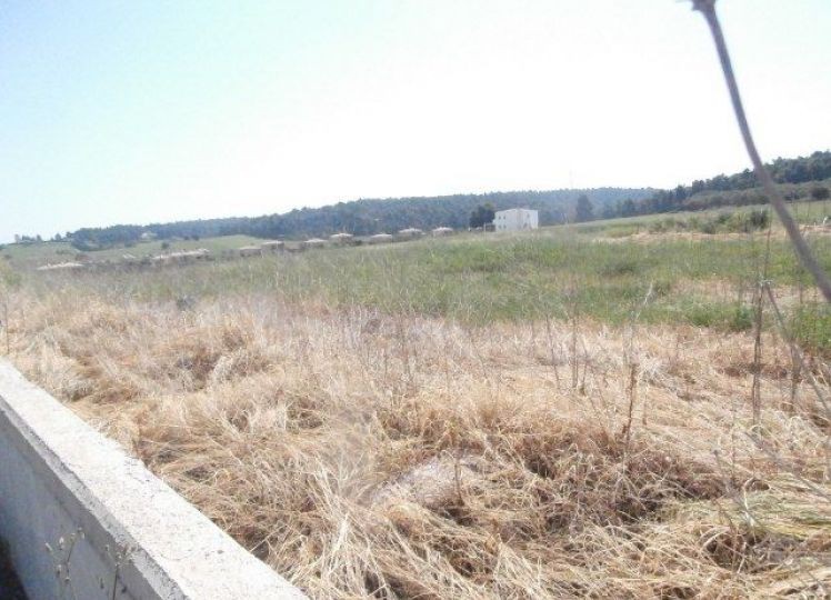 Αγροτεμάχια 4.000 τ.μ. πρός πώληση, Χαλκιδική, Κασσάνδρα