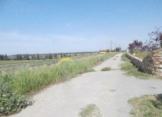 Αγροτεμάχια 4.000 τ.μ. προς πώληση, Σανή-thumb-6