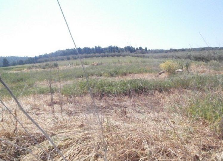 Αγροτεμάχια 4.000 τ.μ. πρός πώληση, Χαλκιδική, Κασσάνδρα