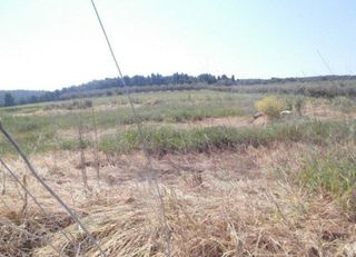 Αγροτεμάχια 4.000 τ.μ. προς πώληση, Σανή-thumb-4