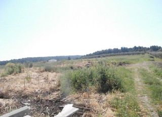 Αγροτεμάχια 4.000 τ.μ. προς πώληση, Σανή-thumb-5