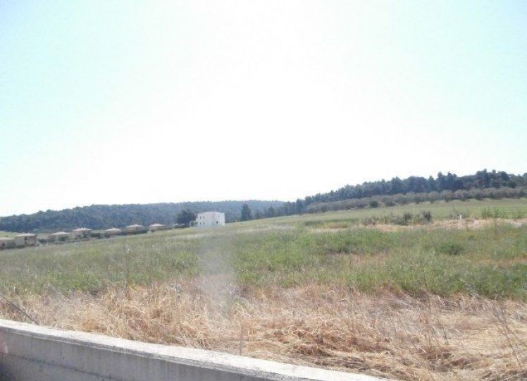 Αγροτεμάχια 4.000 τ.μ. πρός πώληση, Χαλκιδική, Κασσάνδρα