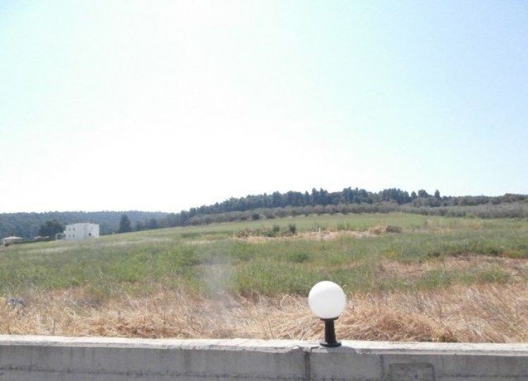 Αγροτεμάχια 4.000 τ.μ. πρός πώληση, Χαλκιδική, Κασσάνδρα