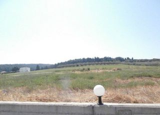 Αγροτεμάχια 4.000 τ.μ. προς πώληση, Σανή-thumb-2
