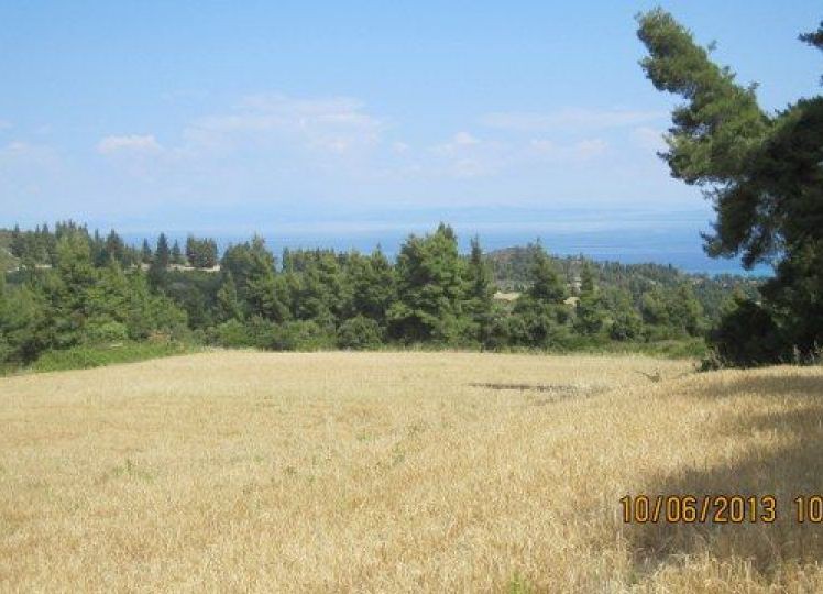 Αγροτεμάχια 6.250 τ.μ. πρός πώληση, Χαλκιδική, Παλλήνη