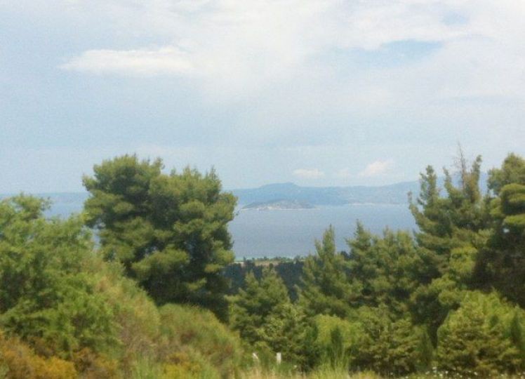 Αγροτεμάχια 6.250 τ.μ. πρός πώληση, Χαλκιδική, Παλλήνη