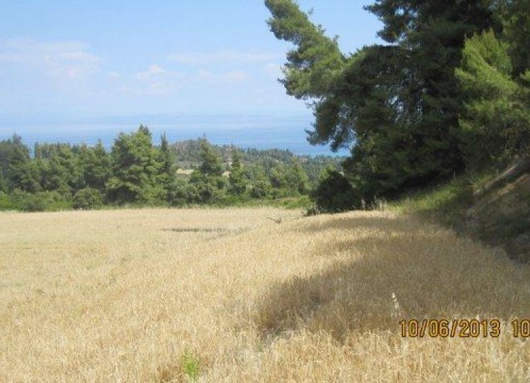 Αγροτεμάχια 6.250 τ.μ. πρός πώληση, Χαλκιδική, Παλλήνη