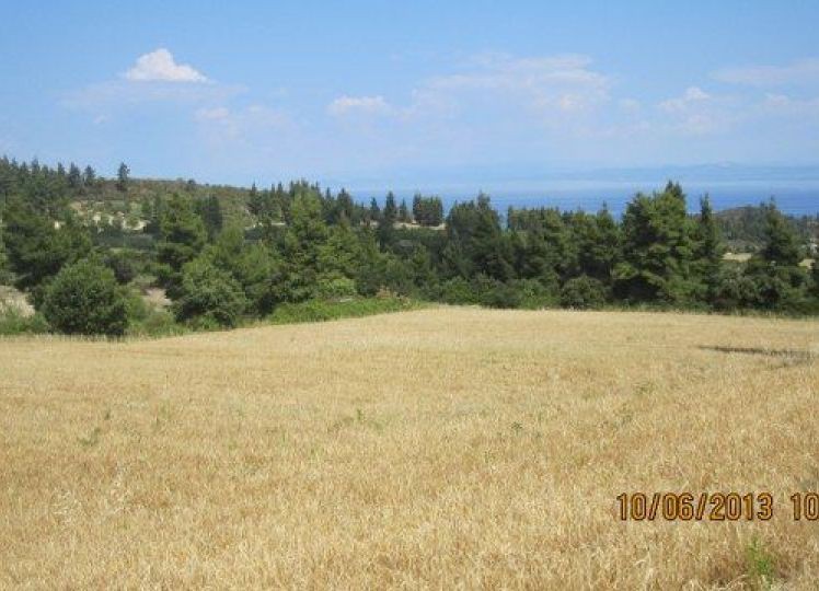 Αγροτεμάχια 6.250 τ.μ. πρός πώληση, Χαλκιδική, Παλλήνη
