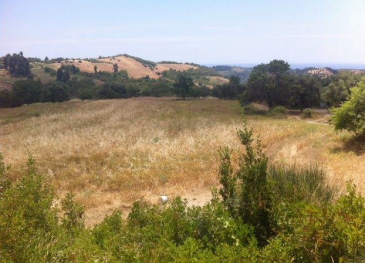 Αγροτεμάχια 5.082 τ.μ. προς πώληση, Αγία Παρασκευή Παλλήνης