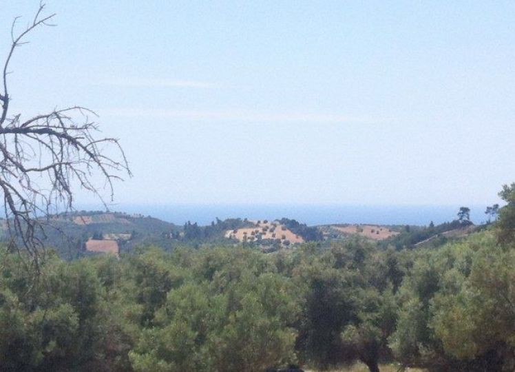 Αγροτεμάχια 5.082 τ.μ. προς πώληση, Αγία Παρασκευή Παλλήνης