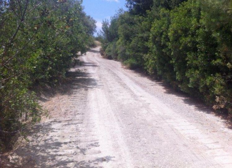 Αγροτεμάχια 5.082 τ.μ. προς πώληση, Αγία Παρασκευή Παλλήνης