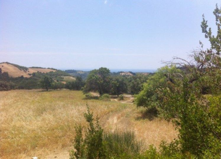 Αγροτεμάχια 5.082 τ.μ. προς πώληση, Αγία Παρασκευή Παλλήνης