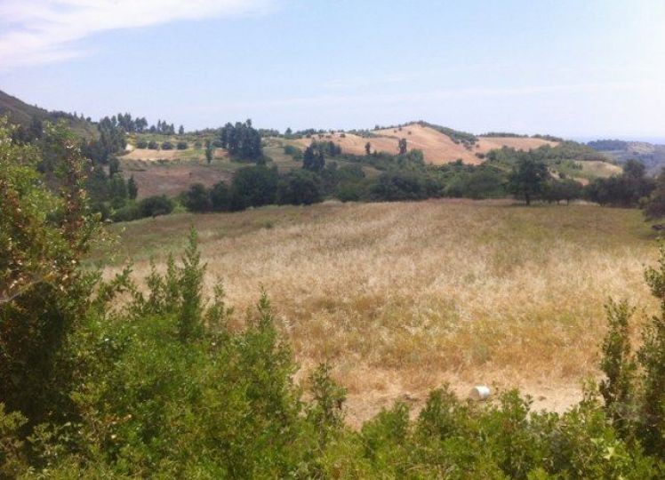 Αγροτεμάχια 5.082 τ.μ. προς πώληση, Αγία Παρασκευή Παλλήνης