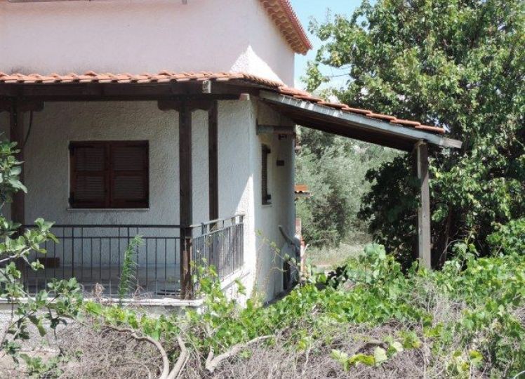 Οικόπεδο 3.701 τ.μ. πρός πώληση, Χαλκιδική, Καλλικράτεια