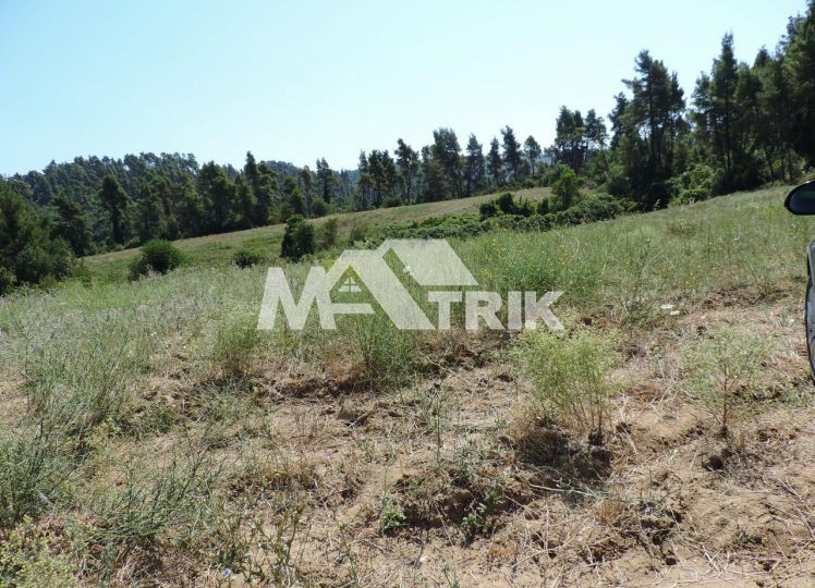 Αγροτεμάχια 23.500 τ.μ. προς πώληση, Χαλκιδική, Κασσάνδρα