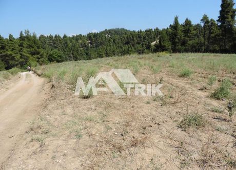 Αγροτεμάχια 23.500 τ.μ. για πώληση