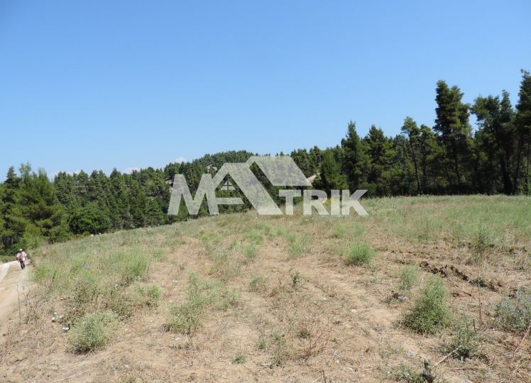 Αγροτεμάχια 23.500 τ.μ. προς πώληση, Χαλκιδική, Κασσάνδρα