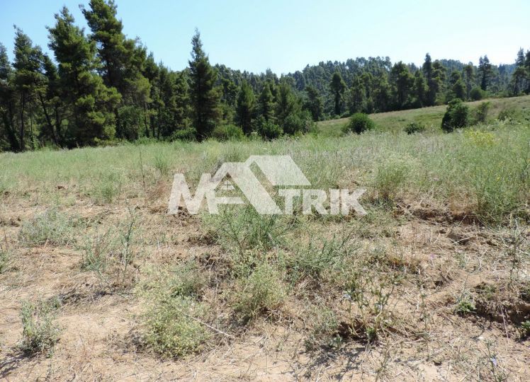 Αγροτεμάχια 23.500 τ.μ. προς πώληση, Χαλκιδική, Κασσάνδρα
