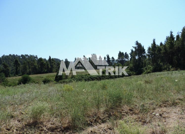 Αγροτεμάχια 23.500 τ.μ. προς πώληση, Χαλκιδική, Κασσάνδρα
