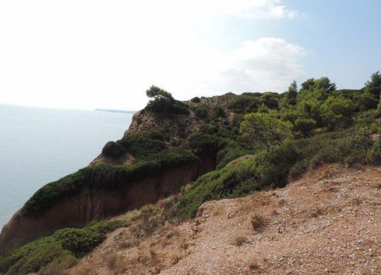 Αγροτεμάχια 9.375 τ.μ. προς πώληση, Νέα Ποτίδαια