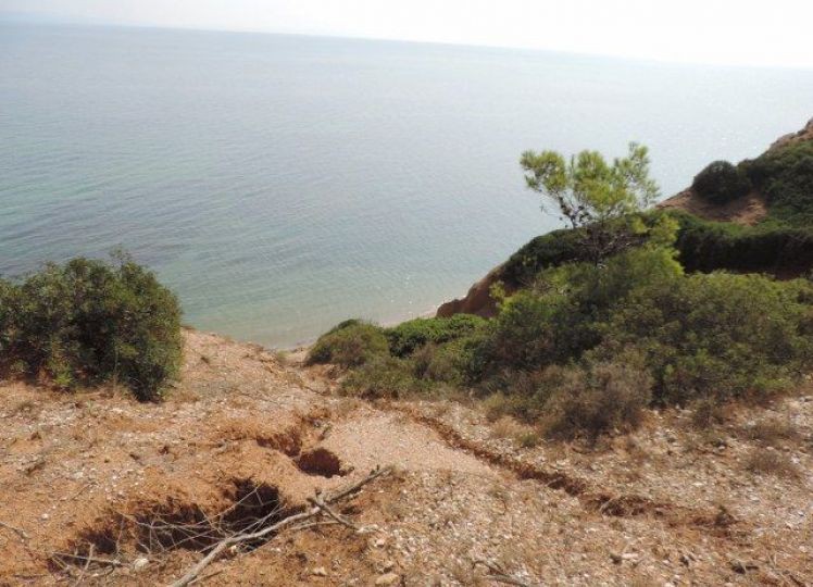 Αγροτεμάχια 9.375 τ.μ. προς πώληση, Νέα Ποτίδαια