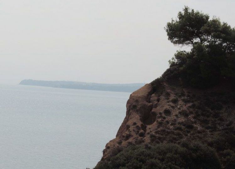 Αγροτεμάχια 9.375 τ.μ. προς πώληση, Νέα Ποτίδαια