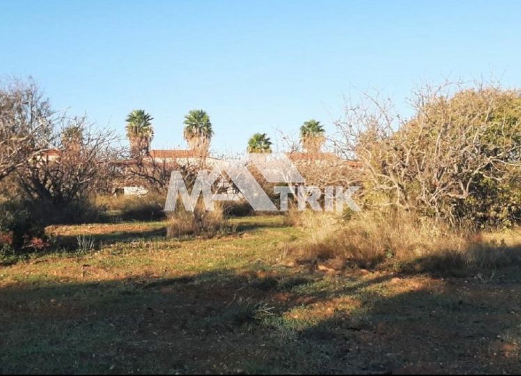 Αγροτεμάχια 4.100 τ.μ. προς πώληση, Νέα Ποτίδαια