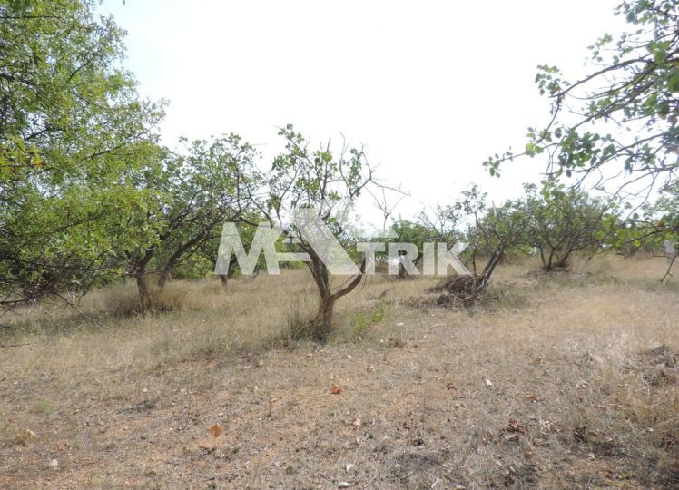 Αγροτεμάχια 4.100 τ.μ. προς πώληση, Νέα Ποτίδαια
