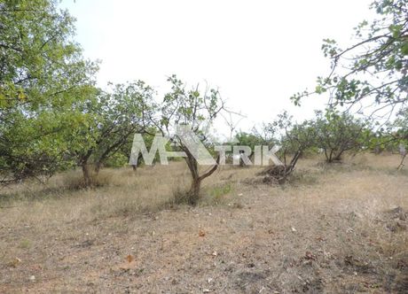Parcel 4.100 sqm for sale
