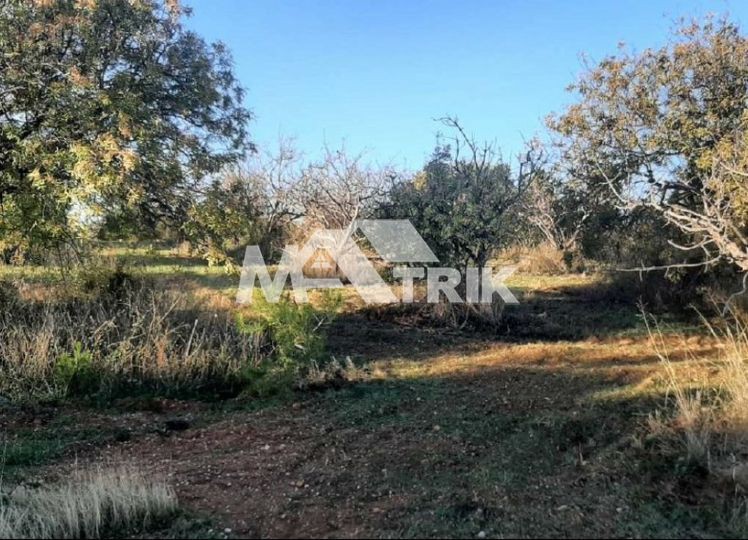 Αγροτεμάχια 4.100 τ.μ. προς πώληση, Νέα Ποτίδαια